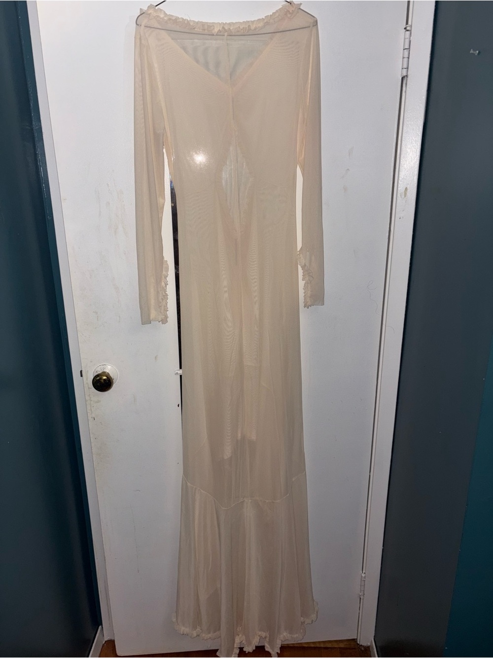 Sheer Long Sleeve Maxi Dress in Light Nude